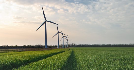 mehrere Windräder auf einem Feld vor einem blauen Himmel