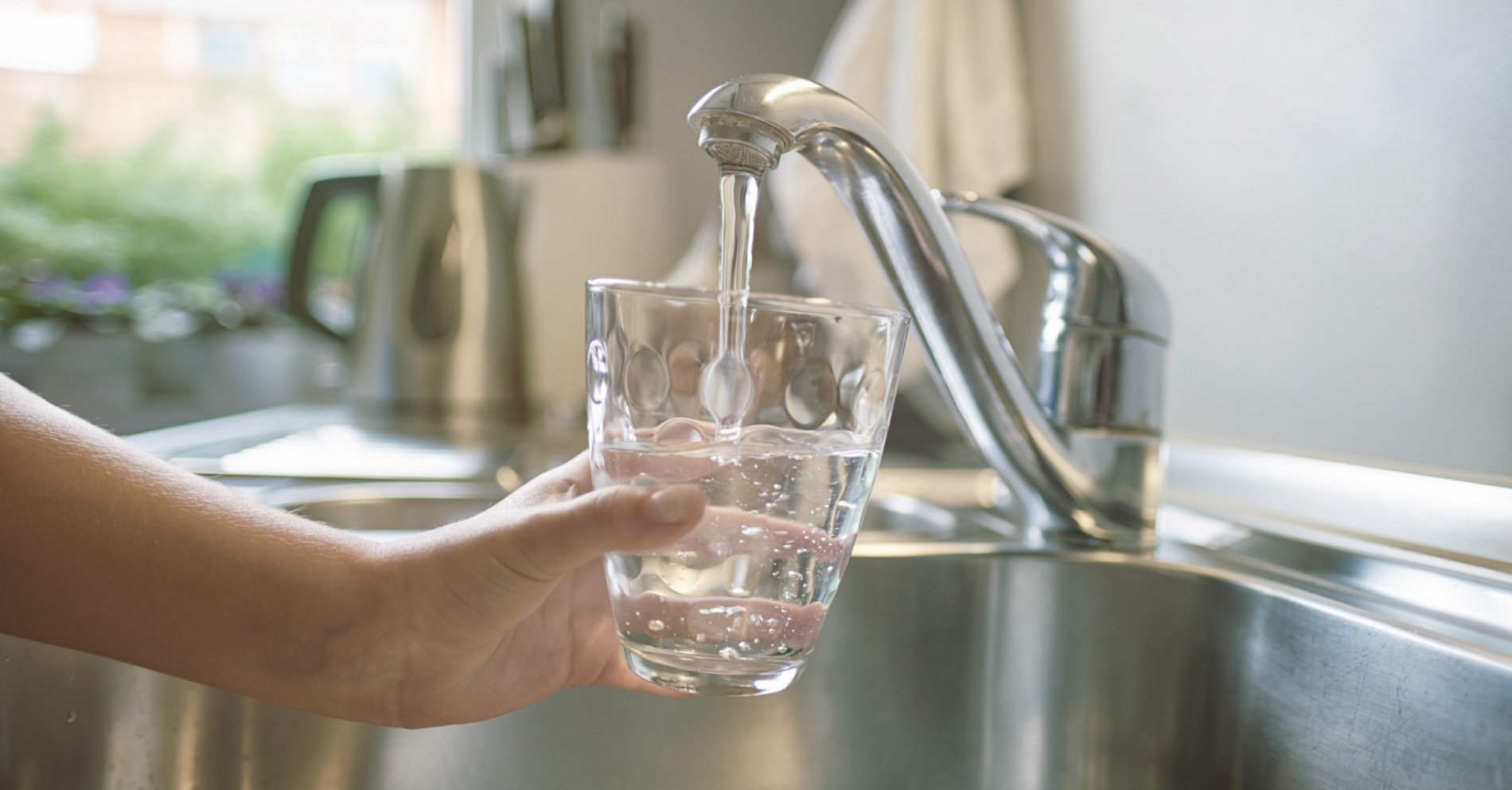Wasser Ess Wasser - Das wichtigste Lebensmittel in bester Qualität