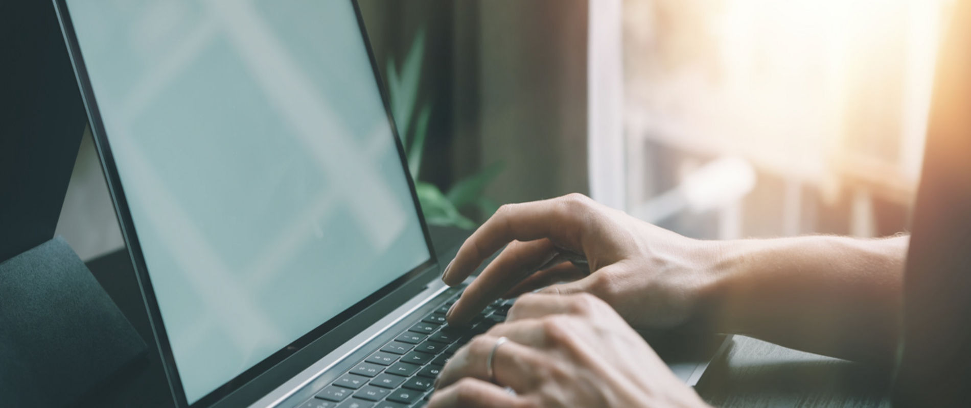 eine Person sitzt an einem Laptop und tippt auf der Tastatur